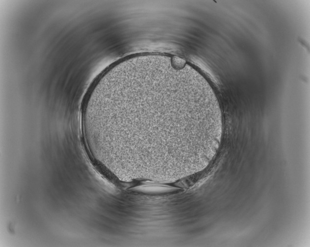 X0000097951079200804211030