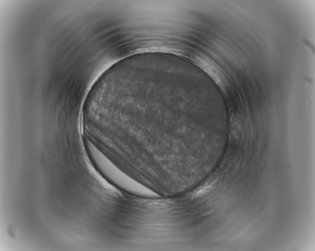 X0000097951084200804211030