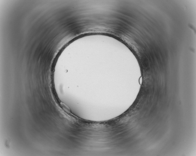 X0000097951085200804211030