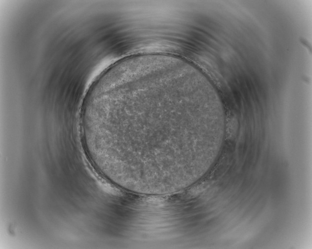 X0000097951086200804211030