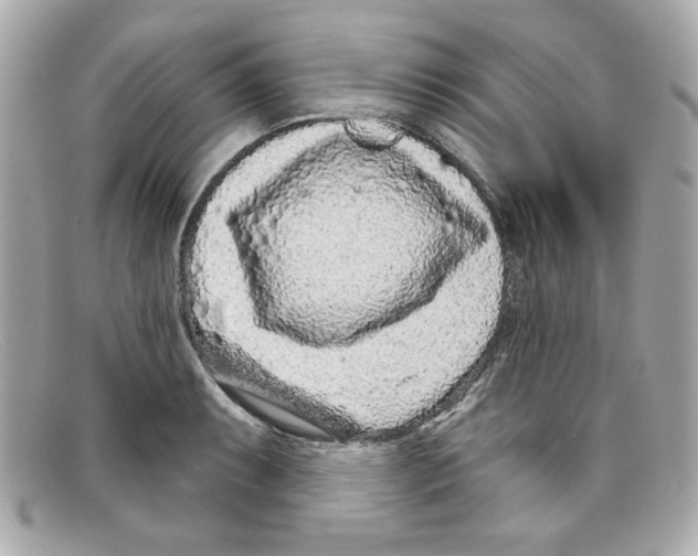 X0000097951087200804211030