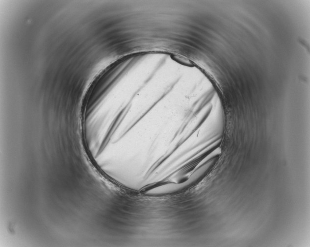 X0000097951088200804211030