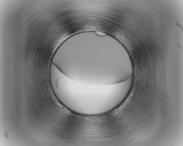 X0000097951089200804211030