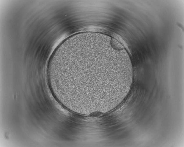 X0000097951091200804211029