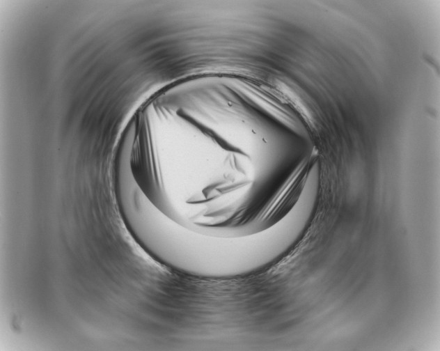 X0000097951092200804211029