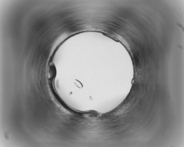 X0000097951096200804211029