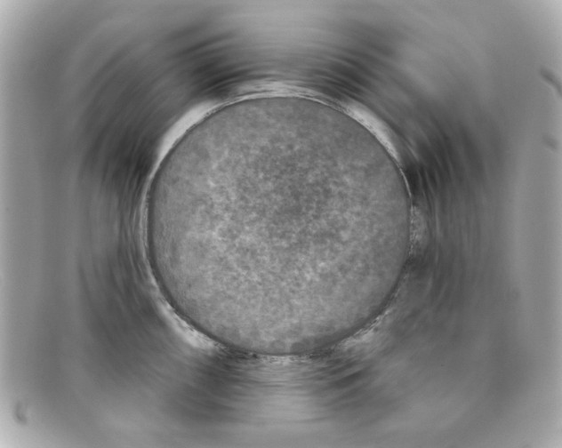 X0000097951098200804211029