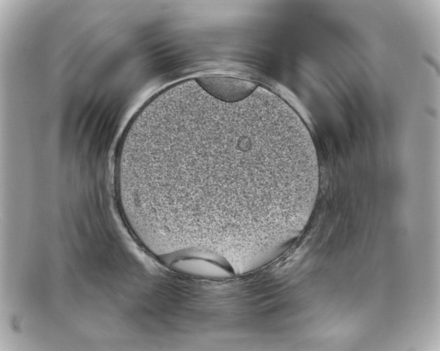 X0000097951099200804211029