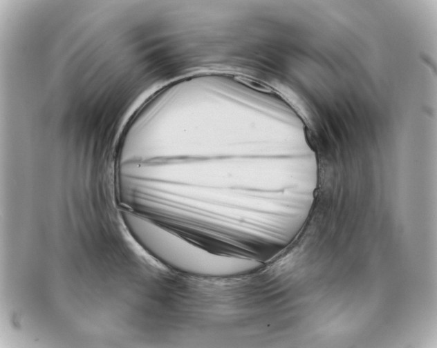 X0000097951100200804211029