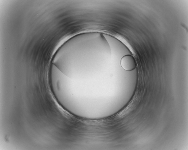 X0000097951101200804211029