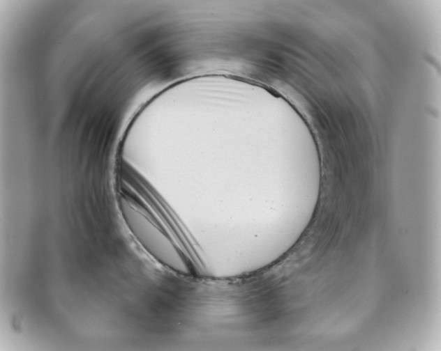 X0000097951104200804211029