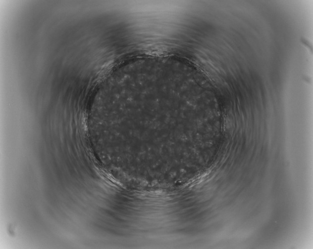 X0000097951106200804211028