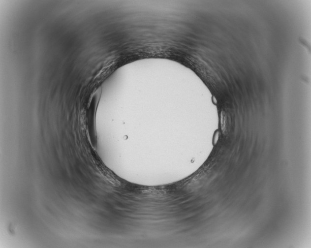 X0000097951107200804211028