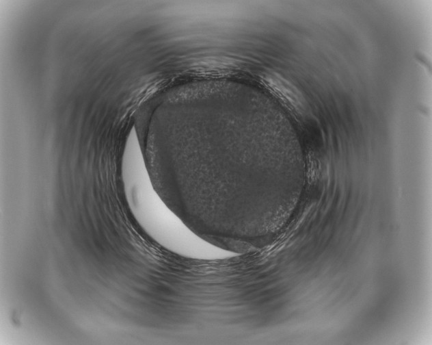 X0000097951108200804211029
