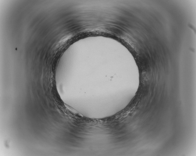 X0000097951111200804211029