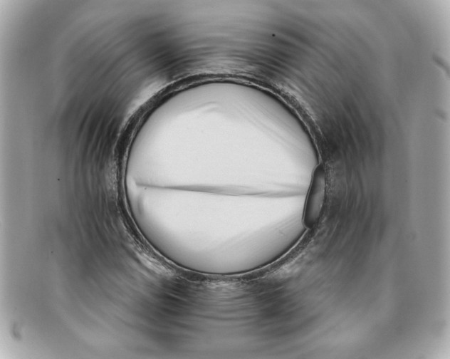 X0000097951114200804211029