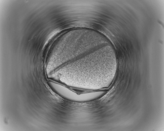 X0000097951115200804211029