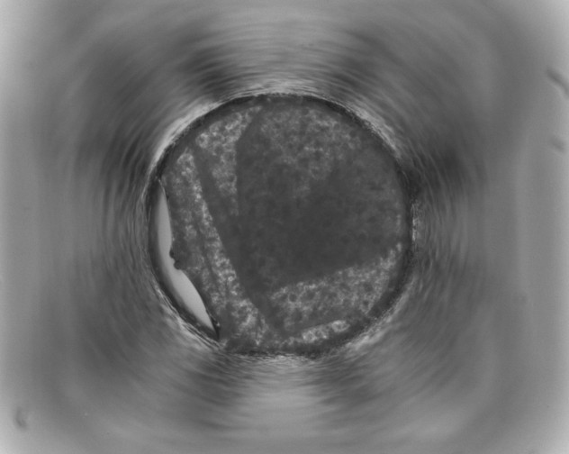 X0000097951117200804211029