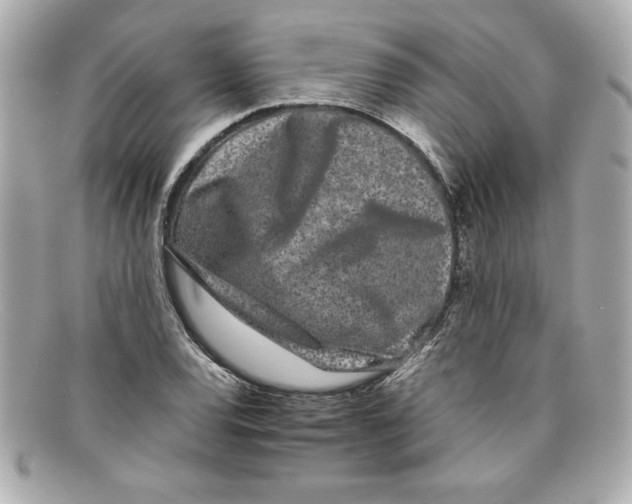 X0000097951120200804211029