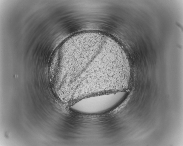 X0000097951121200804211029