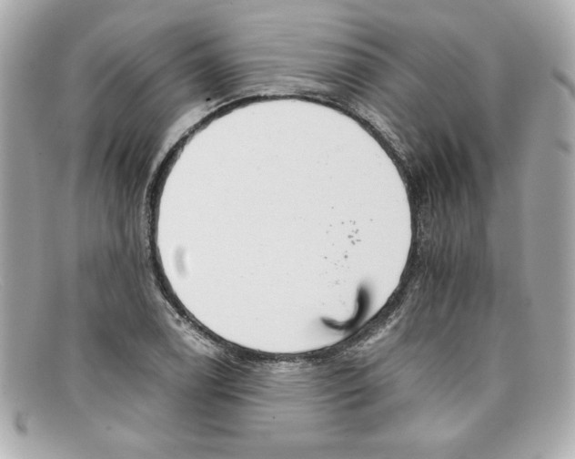 X0000097951122200804211029
