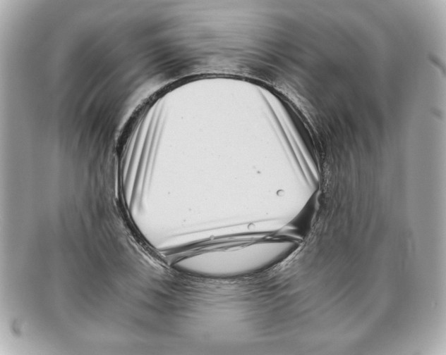 X0000097951123200804211029