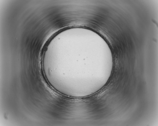 X0000097951124200804211029