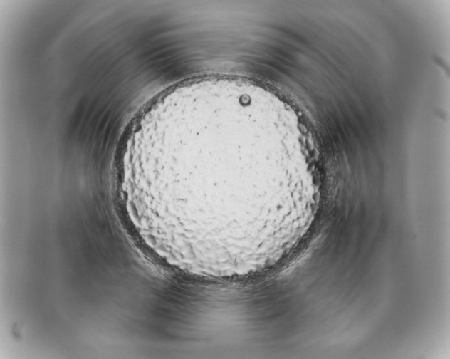 X0000097951125200804211029