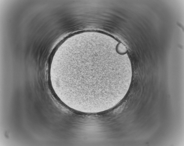 X0000097951126200804211029