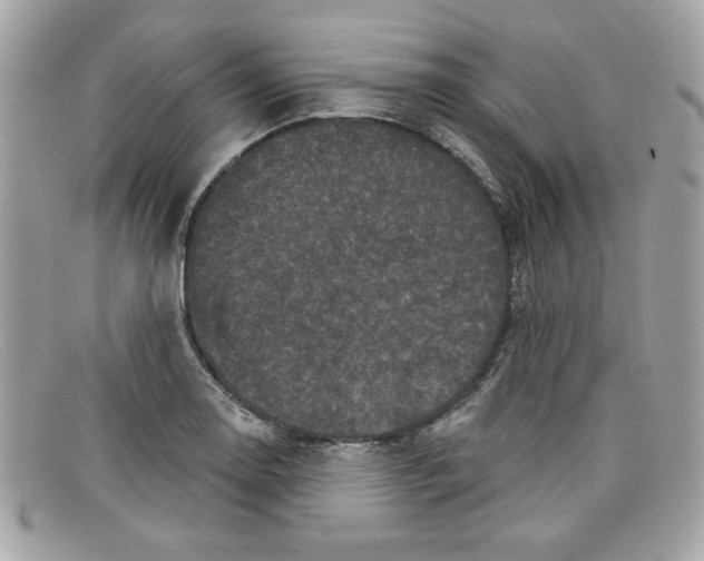 X0000097951130200804211029