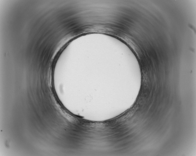 X0000097951131200804211029