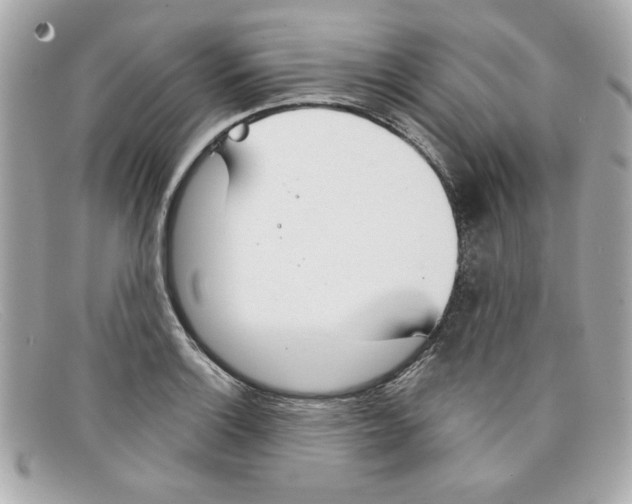 X0000097951132200804211029