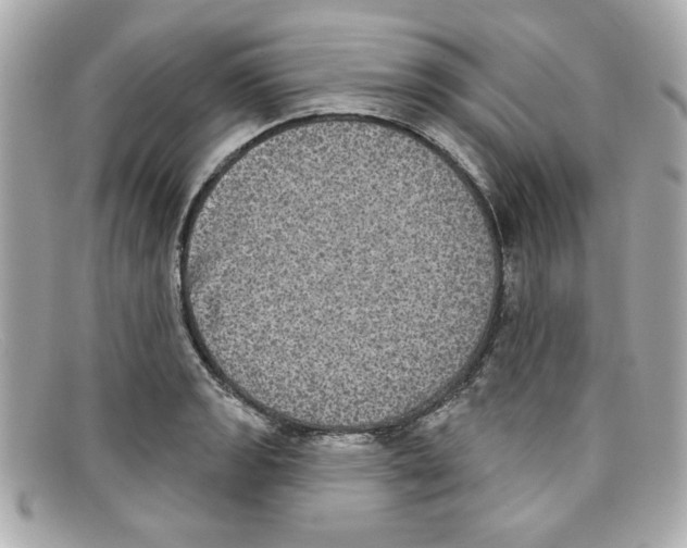 X0000097951133200804211029