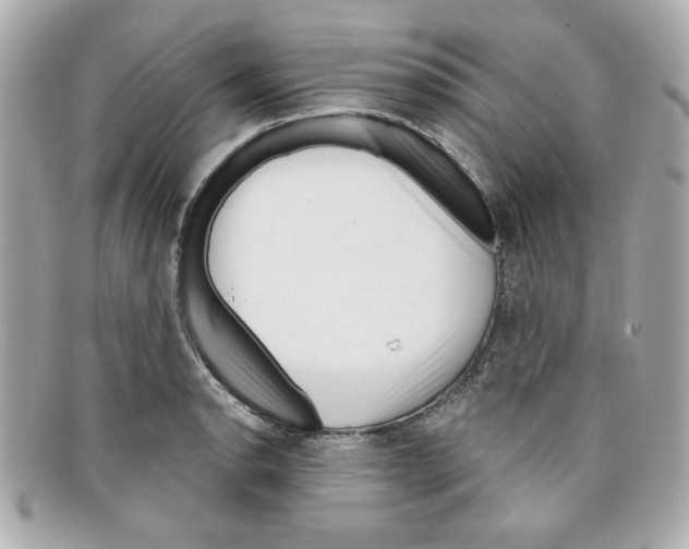 X0000097951134200804211029