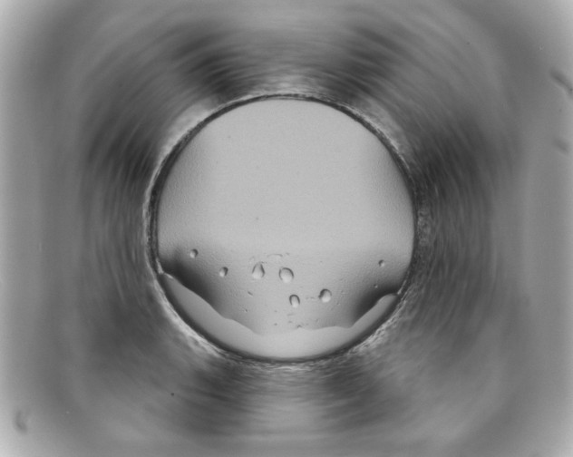 X0000097951135200804211029