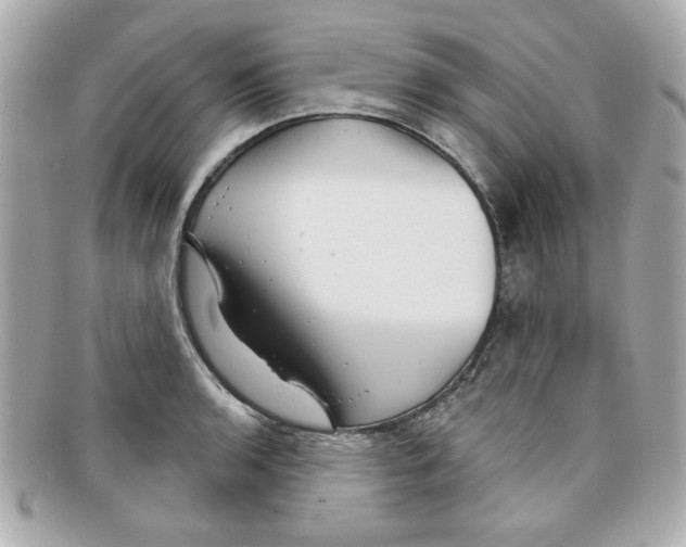 X0000097951136200804211029