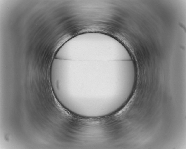 X0000097951137200804211029