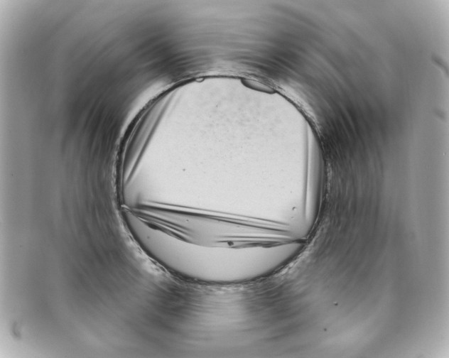 X0000097951138200804211029