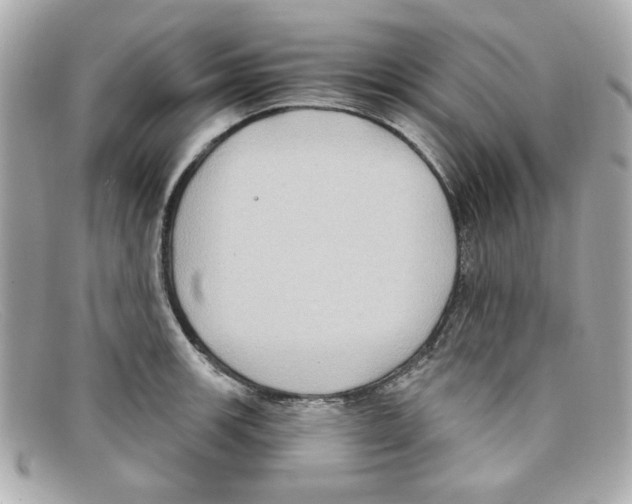 X0000097951139200804211029