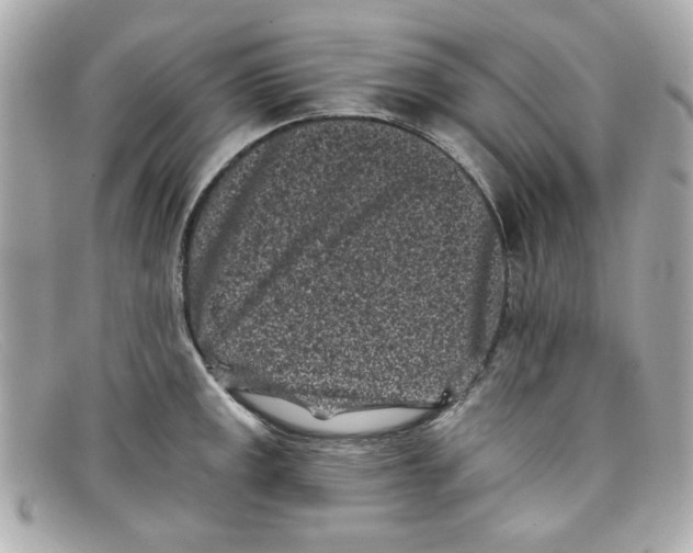 X0000097951141200804211029