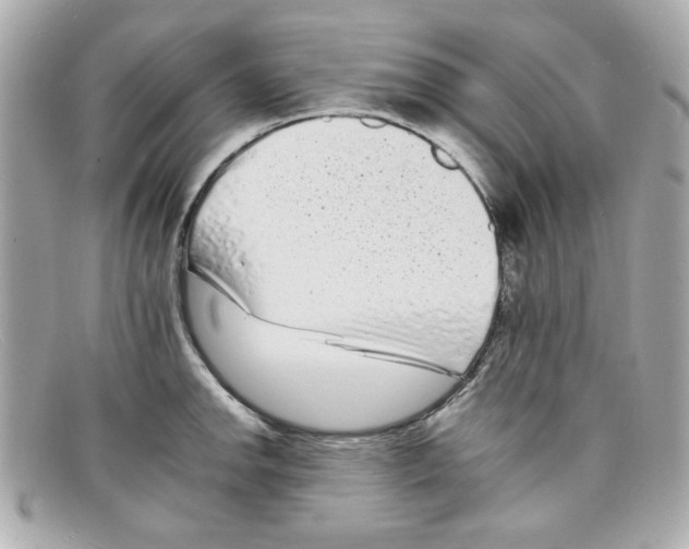 X0000097951142200804211029