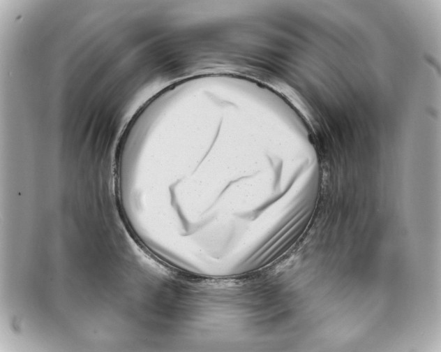 X0000097951143200804211029