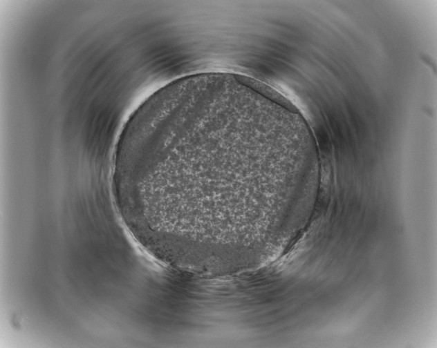 X0000097951144200804211029