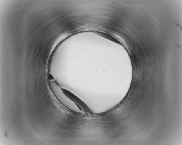 X0000097951146200804211029