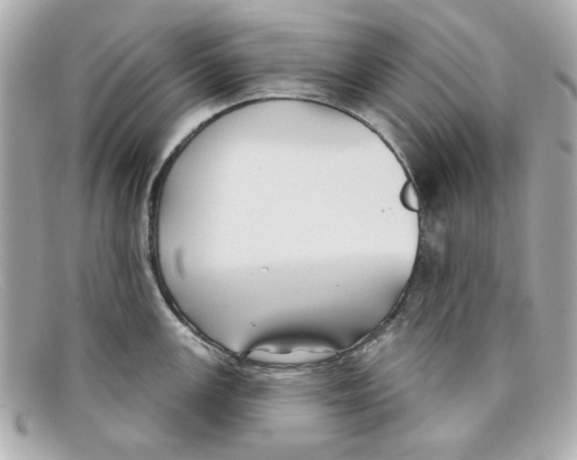 X0000097951147200804211029