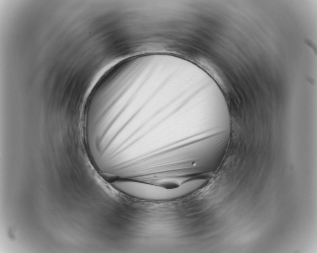 X0000097951148200804211029