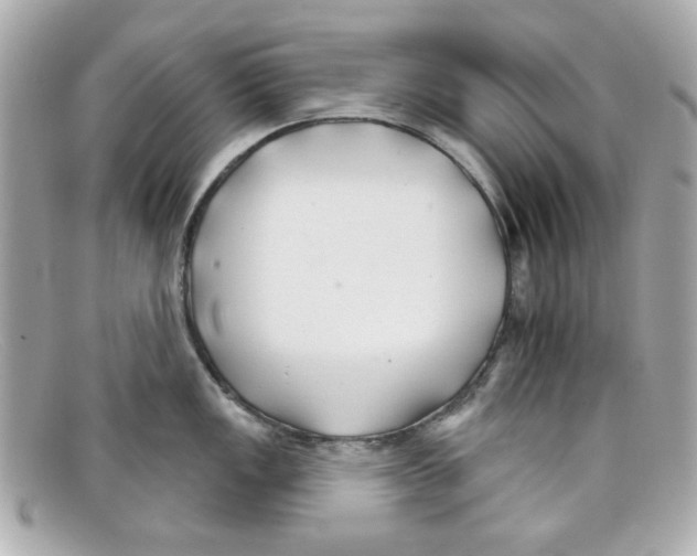 X0000097951149200804211029