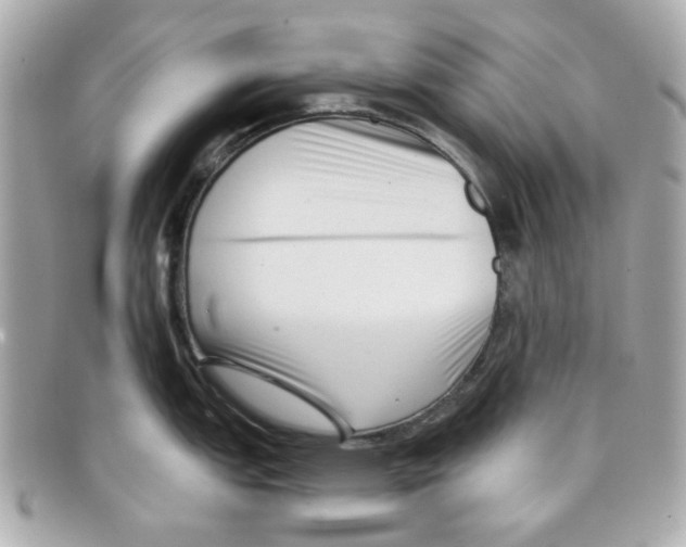 X0000097951151200804211029