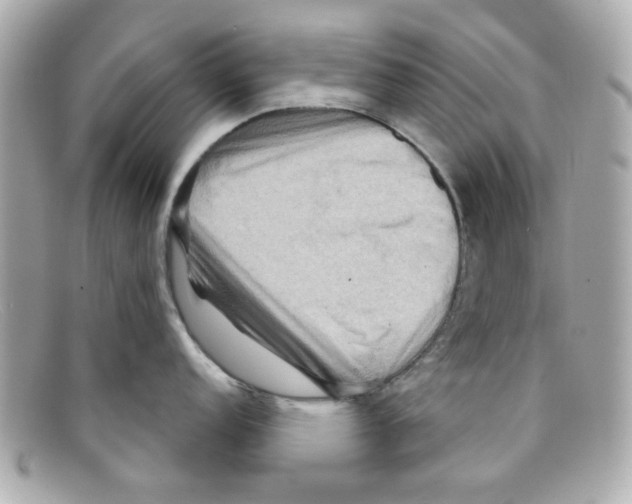 X0000097951152200804211029