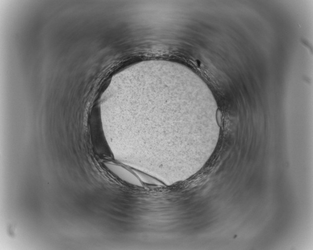 X0000097951153200804211028